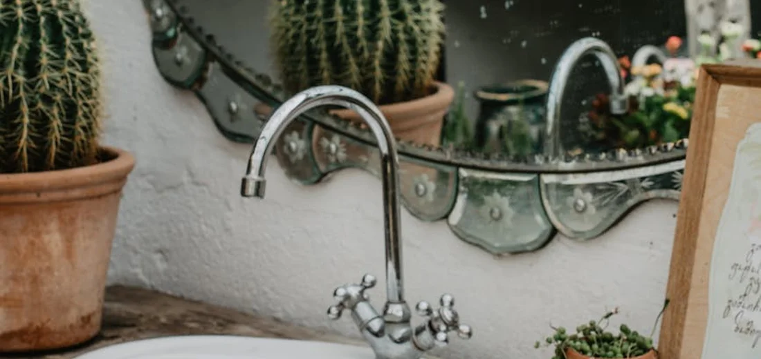 Two potted cacti and other succulents on a bathroom counter beside a chrome faucet and a mirror.