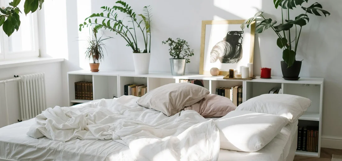 Sunlit bedroom with a white bed and several potted plants on white shelves, highlighting pet-safe and air-purifying houseplants.
