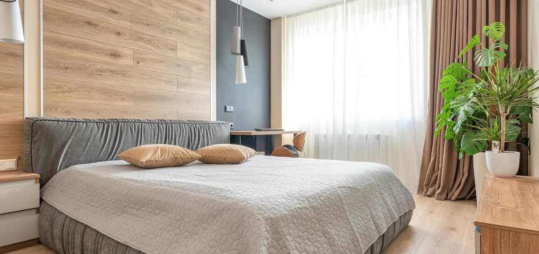 Bright bedroom interior with a large bed and a tall potted plant by a window, bathed in natural light.