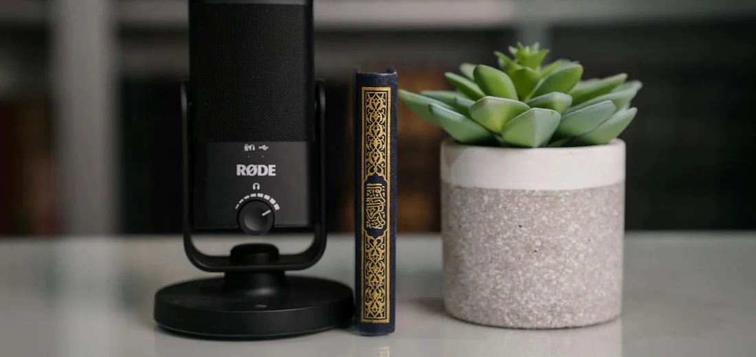 Aeonium arboreum 'Zwartkop' Black Rose succulent in a pot on a desk, beside a small book and a microphone.