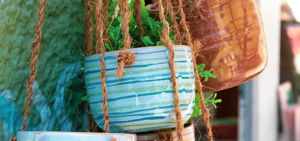 How to Hang and Display Hanging Plants Indoors