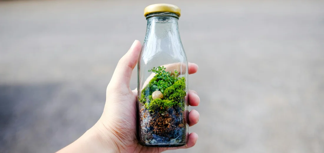 A hand holding a small glass bottle terrarium with a yellow lid, containing a tiny succulent and moss.