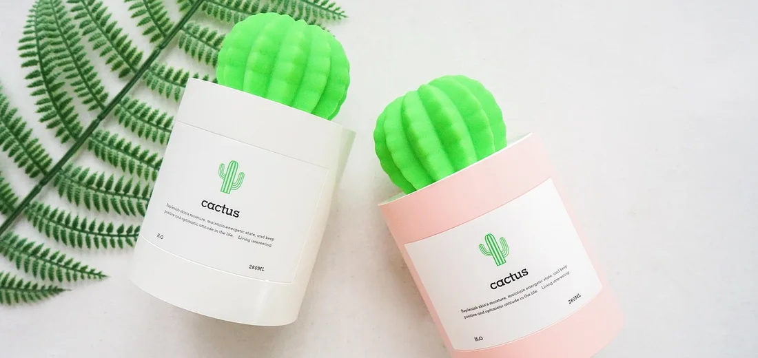 Two decorative plant pots labeled 'cactus' with bright green moss balls, set on a light surface with fern fronds nearby.