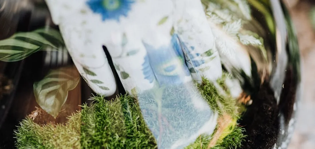 Close-up of a mixed plant display featuring moss, leaves, and glassware, demonstrating texture variety within a cohesive arrangement.