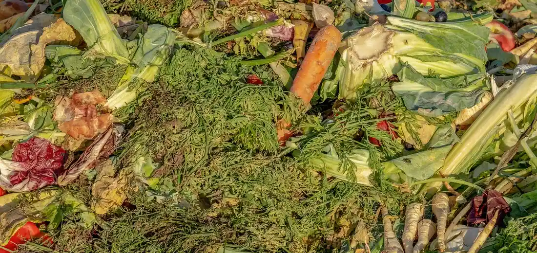 A pile of kitchen scraps and garden waste, including carrot tops and leafy greens, on a compost pile.