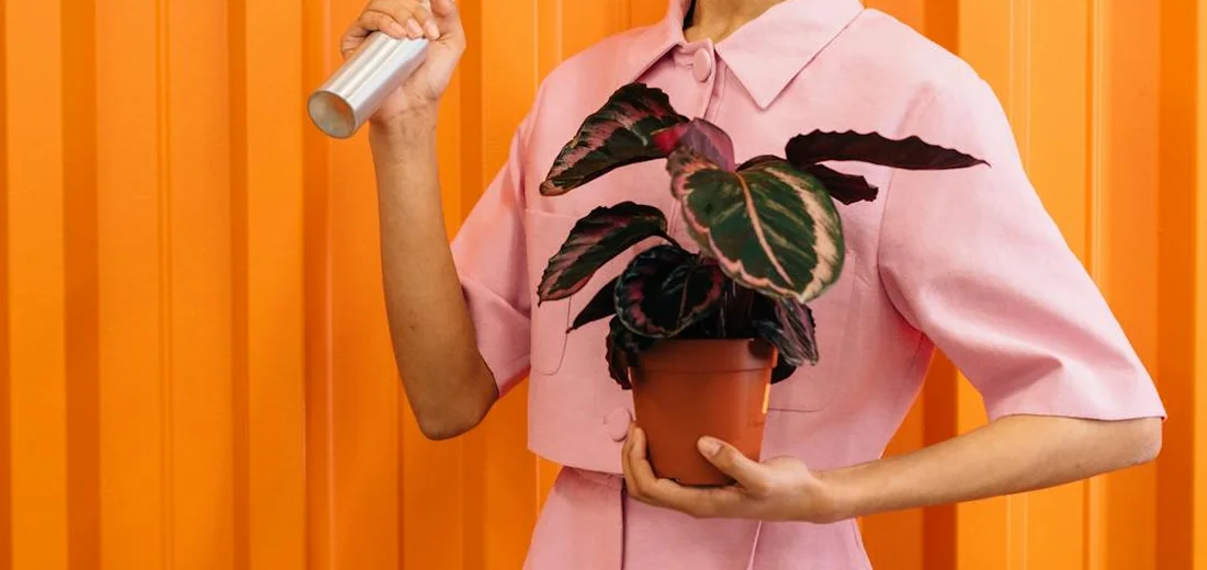 Person holding a spray can near a potted plant against an orange wall.
