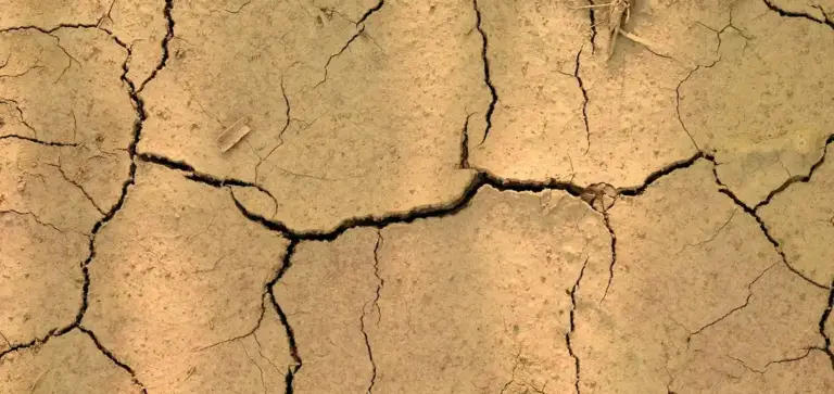 Close-up of cracked, arid soil surface suitable for discussing soil components for succulents
