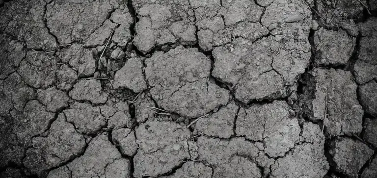 Close-up of cracked, dry soil showing poor drainage and texture issues