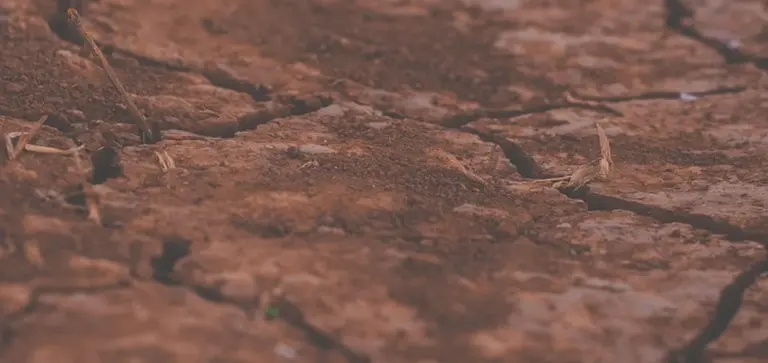 Close-up of cracked, dry brown soil