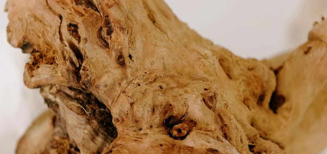 Close-up of weathered driftwood showing intricate grain and knots