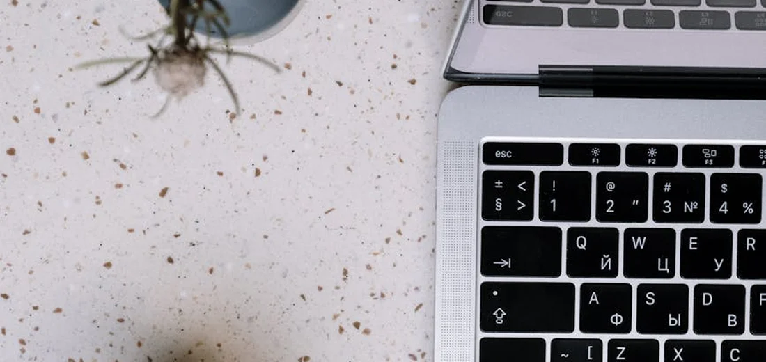 Close-up view of a laptop keyboard on a speckled desk with a small plant cutting at the top edge, illustrating a workspace for growing succulents on driftwood.