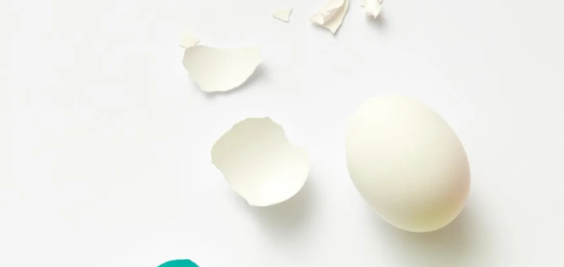 A whole eggshell with broken pieces on a white background, illustrating eggshells as a natural additive for succulent care.