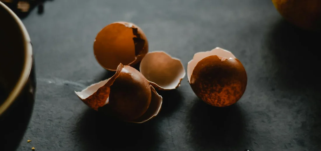 Broken eggshells scattered on a dark surface.