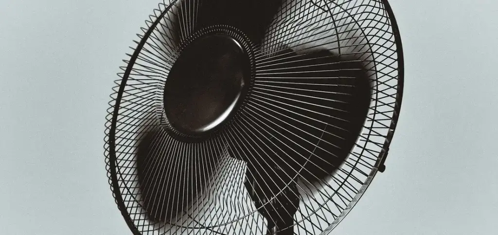 Air Circulation: Your Plant’s Secret to Health and Disease Prevention