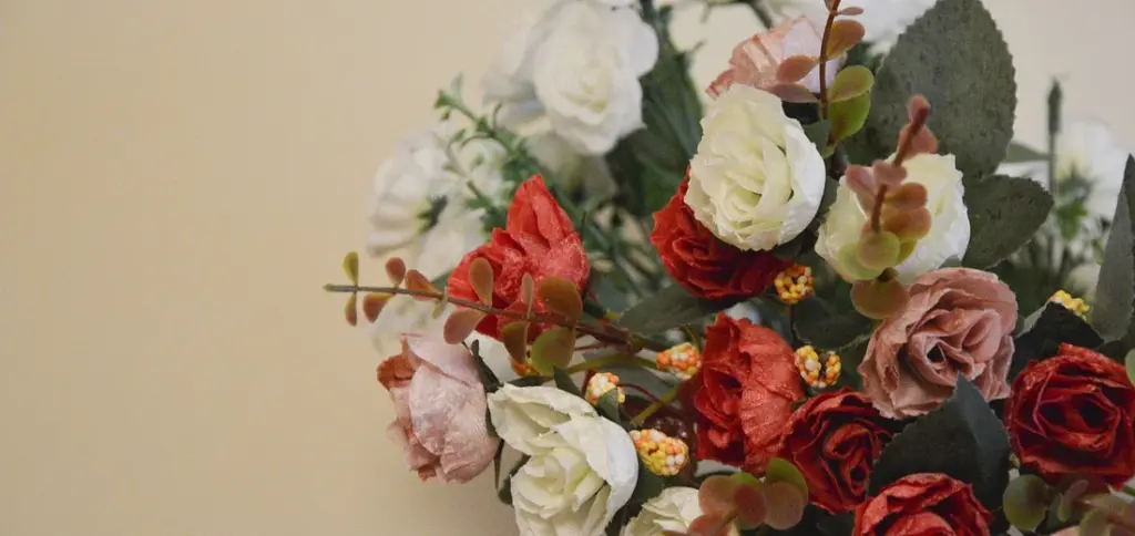 Pet-Safe Indoor Plants: A Complete Safety Guide