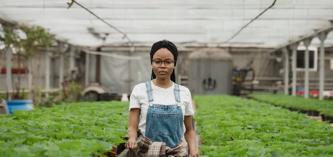 A person wearing a head wrap and denim overalls stands in a greenhouse surrounded by rows of lush green plants.