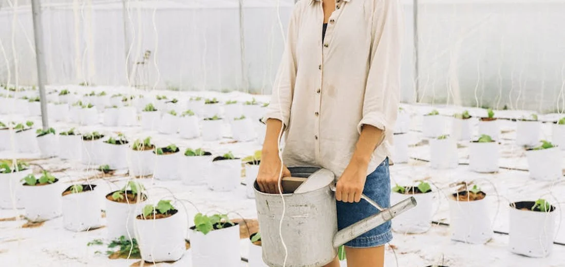 A person in a light shirt waters plants in a greenhouse with many white pots arranged in rows, illustrating seasonal irrigation adjustments.