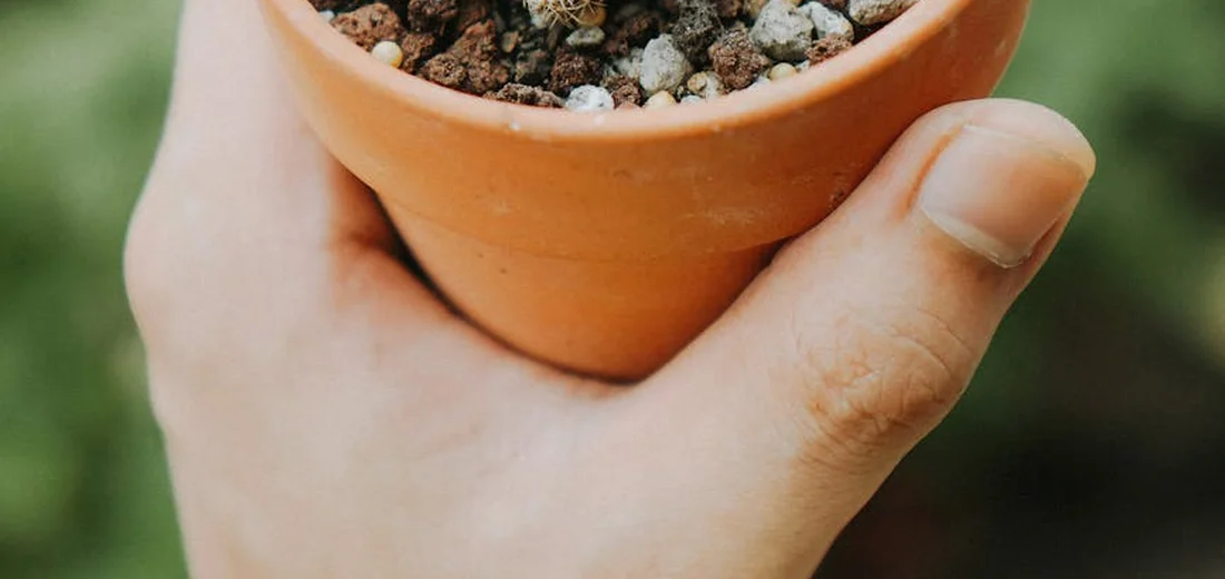 Close-up of a hand holding a terracotta pot filled with gritty succulent soil and perlite.