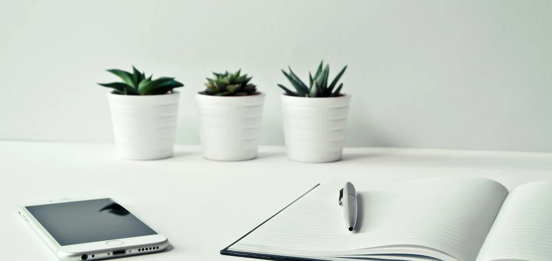 Three small succulent plants in white pots on a bright white desk, with a notebook and a smartphone nearby.