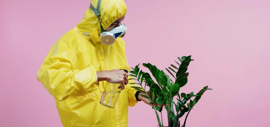 A person in a yellow hazmat suit and respirator sprays a plant against a pink background.