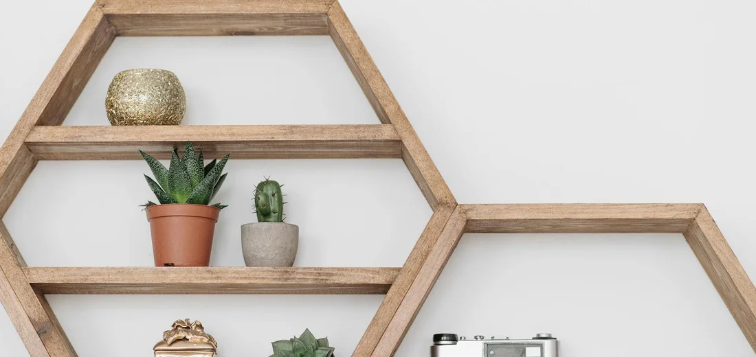 Geometric wooden hexagonal shelf on a white wall with small potted succulents and a few decorative items.
