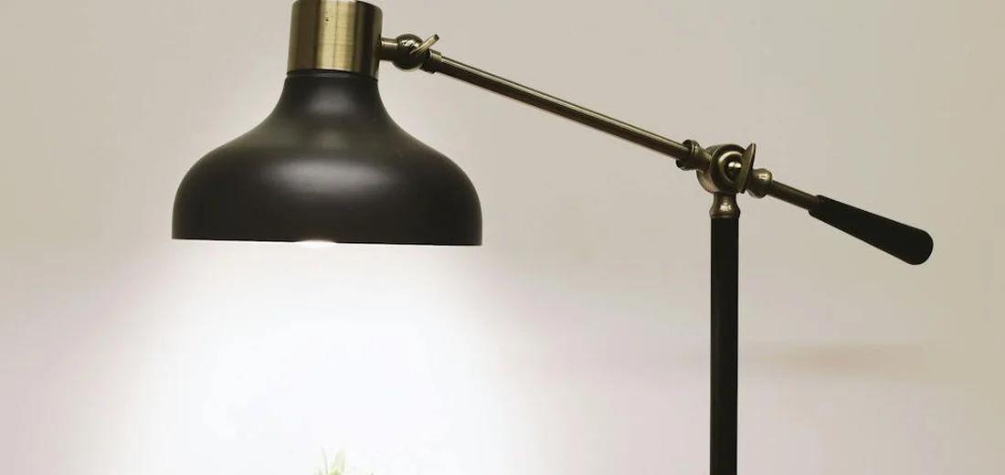Close-up of an adjustable black desk lamp with the light on, illuminating a small plant beneath.