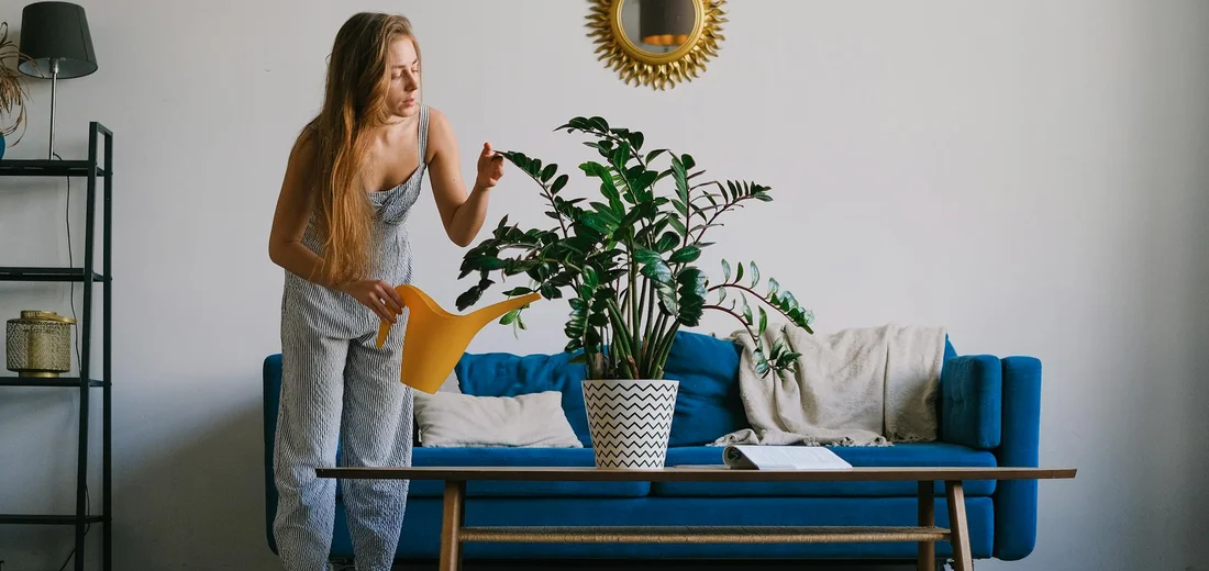 A woman watering a potted plant on a coffee table in a bright living room with a blue sofa, a sunburst mirror, and a metal shelf in the background.