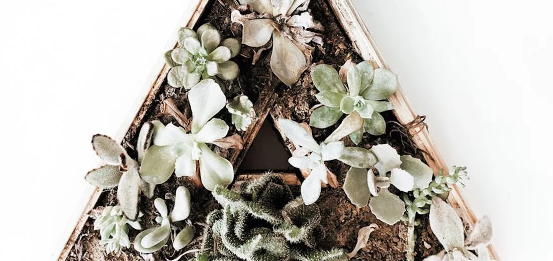 Triangular wooden planter filled with a variety of small succulents arranged for a compact, textural display.