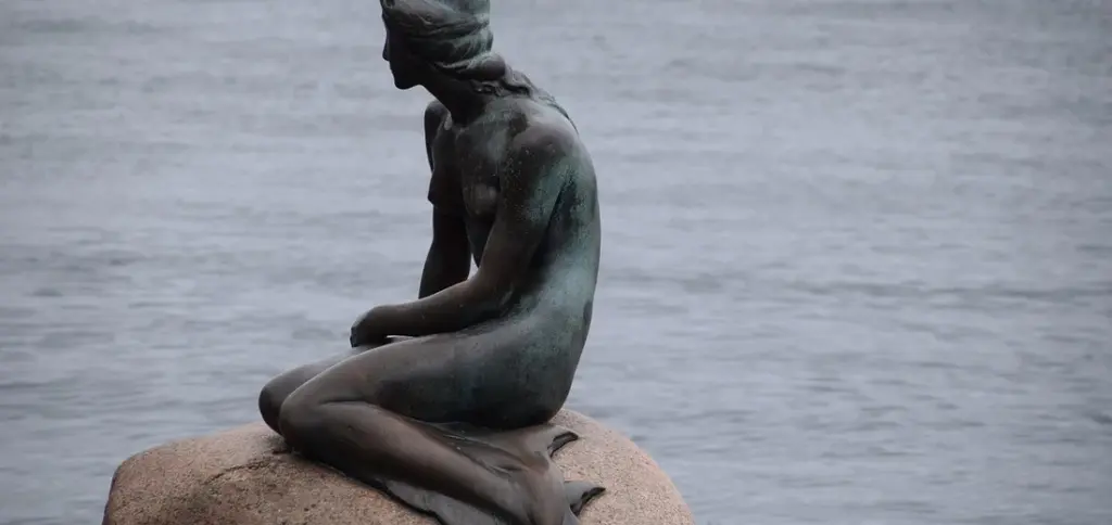 Where to Buy Mermaid and Dolphin Succulents