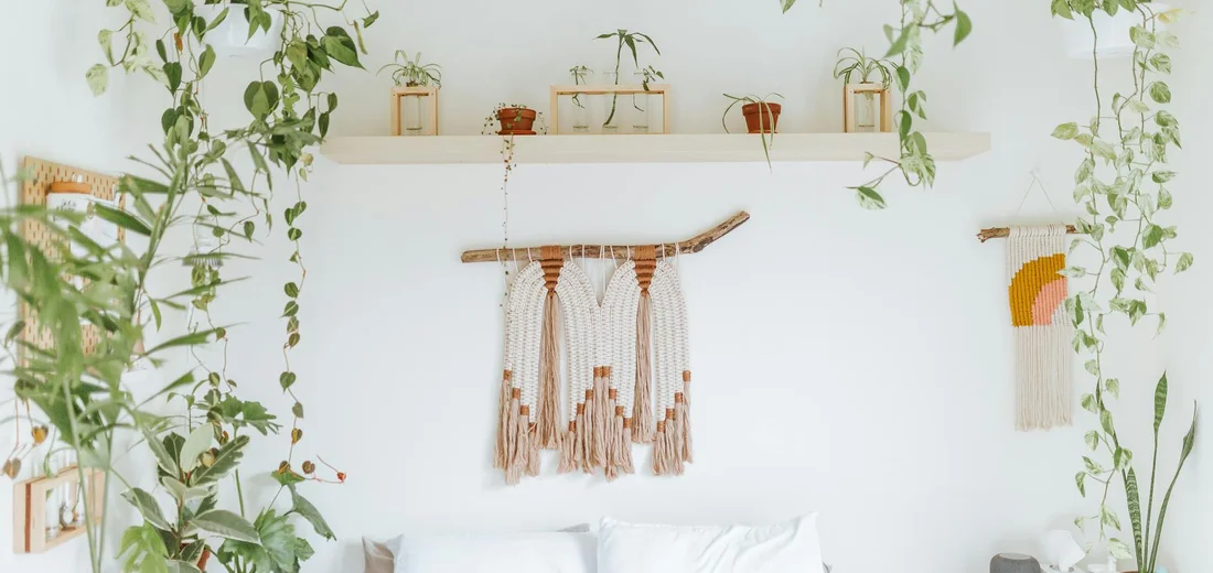 Bright, airy living space with a diverse indoor plant collection, hanging vines, shelves with potted plants, and a macrame wall hanging.