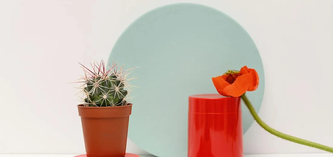 A small potted cactus on the left and a red cylindrical vase with a curved green stem and orange flower on the right, set against a pale background with a teal circle.