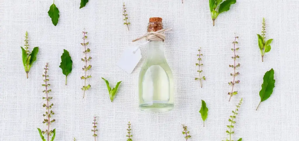 Chemical vs. Organic Pest Control: Pros and Cons