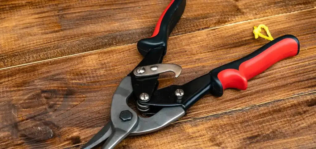 Essential Plant Pruning Tools for a Healthier Garden