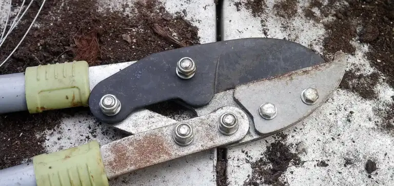 Close-up of rusty pruning shears with green handles resting on soil