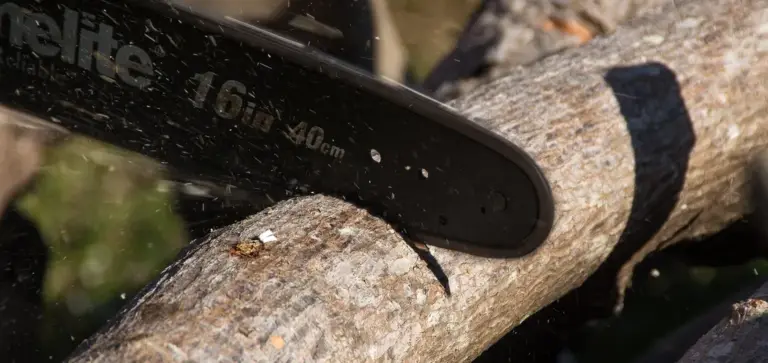 Close-up of a handsaw cutting a branch to illustrate pruning.