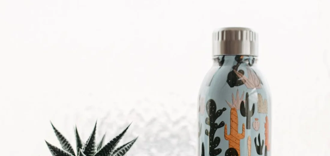 A small succulent plant beside a decorative bottle with cactus illustrations against a white background.
