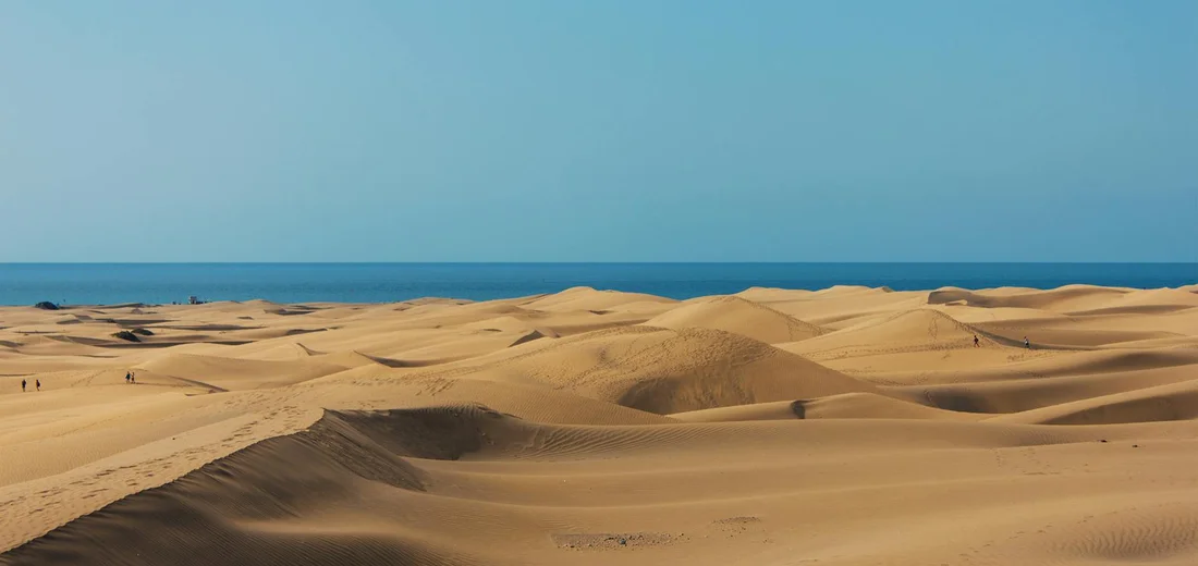 Wide view of golden desert sand dunes with a calm blue sea on the horizon under a clear sky.