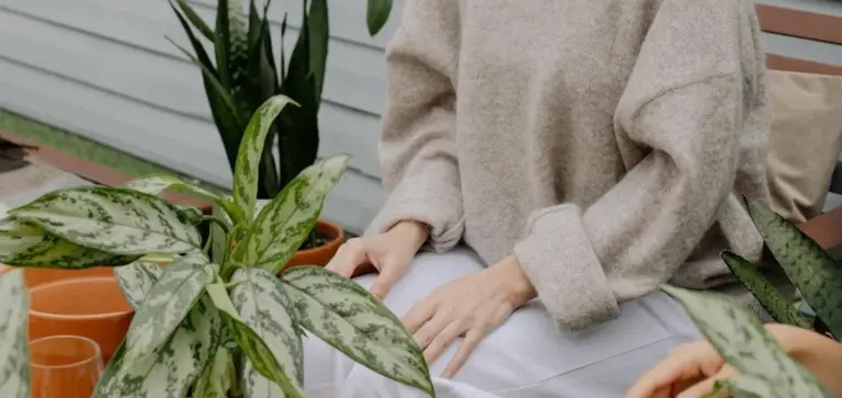 Person in a beige sweater seated on a balcony surrounded by potted variegated Sansevieria plants.