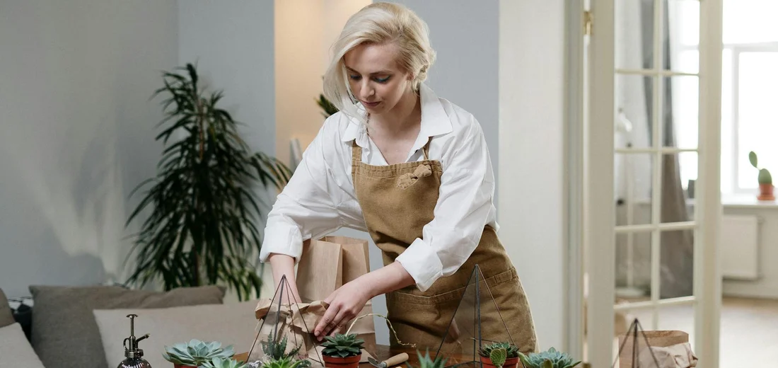 A person wearing a white shirt and brown apron tending to small succulents arranged on a wooden table indoors, with a plant-filled background.