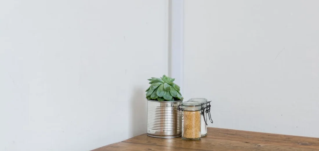 Small succulent in a tin can on a wooden table, illustrating careful watering for compact succulents
