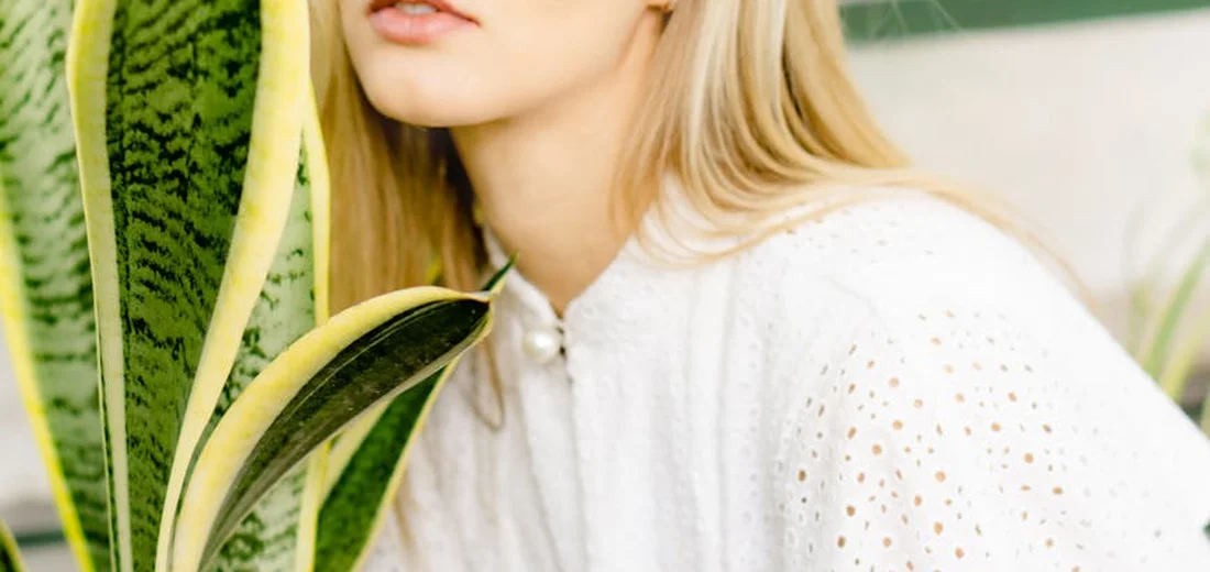Close-up of a variegated Sansevieria leaf with yellow margins beside a person in a white top.