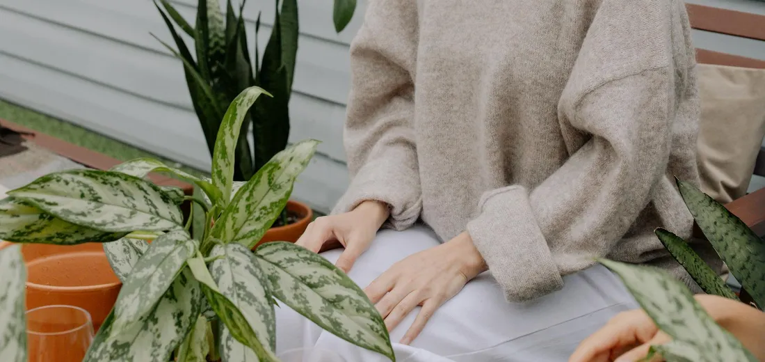 A person sits on a bench next to potted variegated snake plants with green and cream striped leaves on a patio.