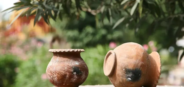 Two terracotta pots outdoors with greenery in the background