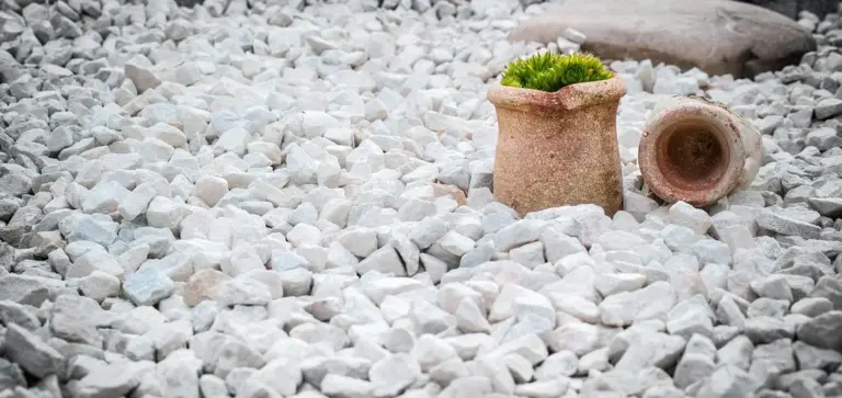 Tiny green plant in a burlap pot on white gravel with a small ceramic pot nearby.
