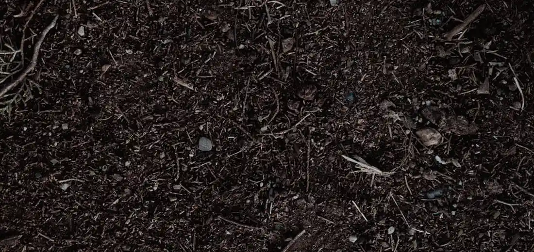 Close-up of dark, crumbly compost soil with small twigs and organic fibers