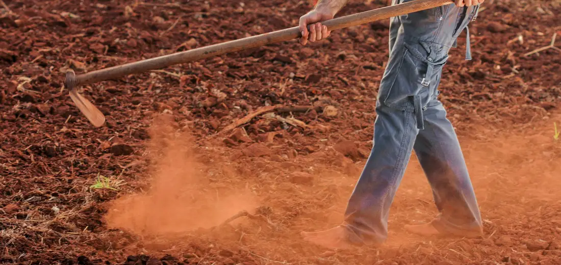 Partial view of a person in jeans using a long-handled digging tool to break up reddish soil, with dust kicking up around the boots