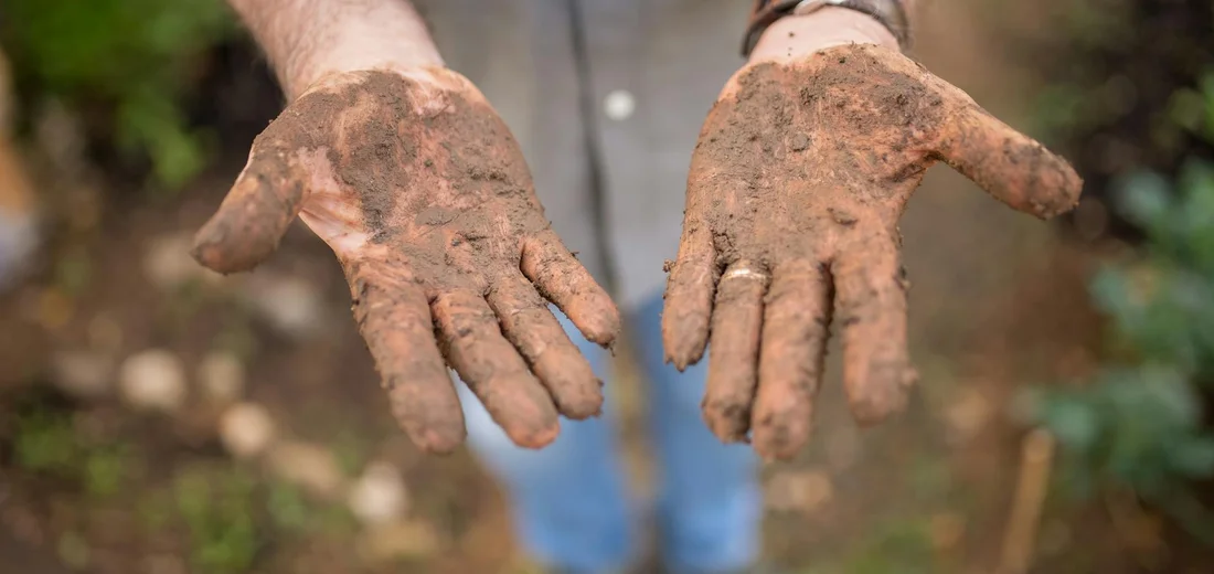 A pair of muddy hands holding soil as a visual for soil testing and interpretation.
