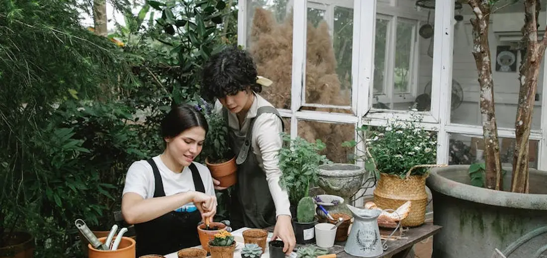 Two people potting and arranging small succulent plants on a wooden table, with pots and gardening tools in a greenhouse setting.