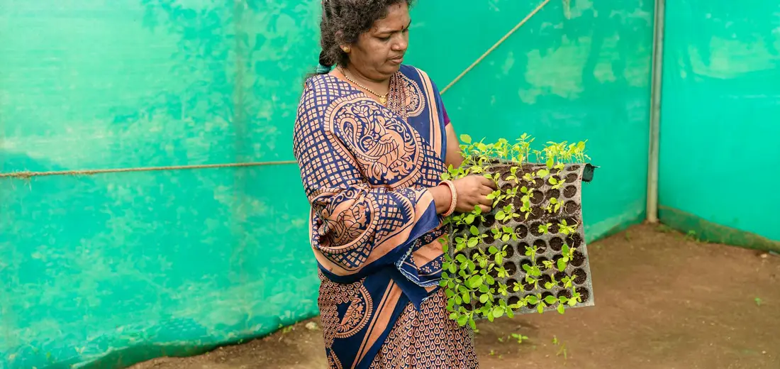 A woman wearing a patterned dress holds a tray of young seedlings in a greenhouse with green walls.