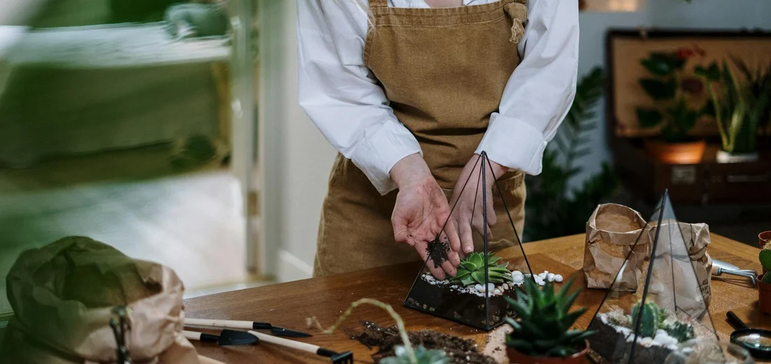 Person in a white shirt and brown apron assembling succulent planters and terrariums on a wooden table with gardening tools.